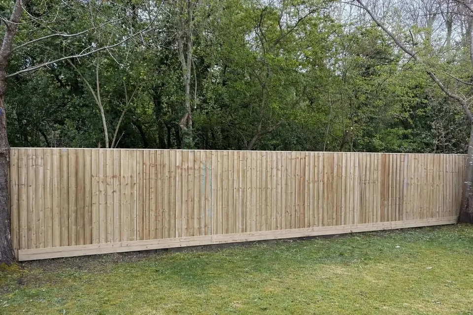 New feather-edge timber fence panels behind a lawn