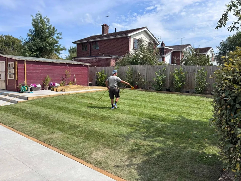 Turfing in Chester. Watering a newly laid turf lawn in a large back garden