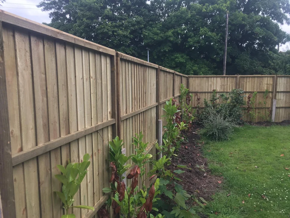 New close-board timber fencing with concrete posts along a garden