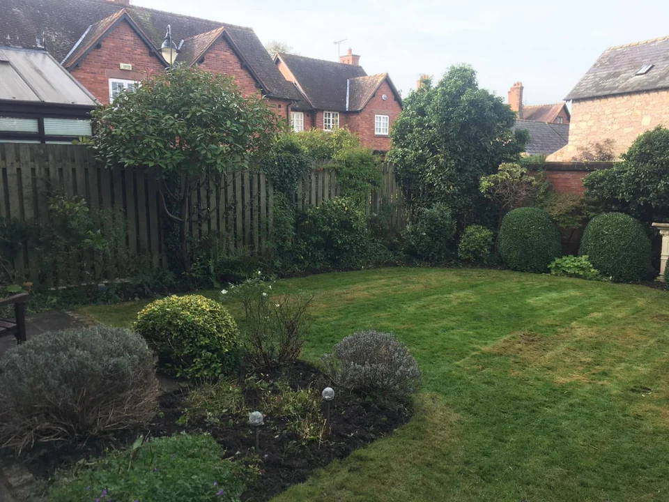 Maintained garden lawn and border with topiary shrubs