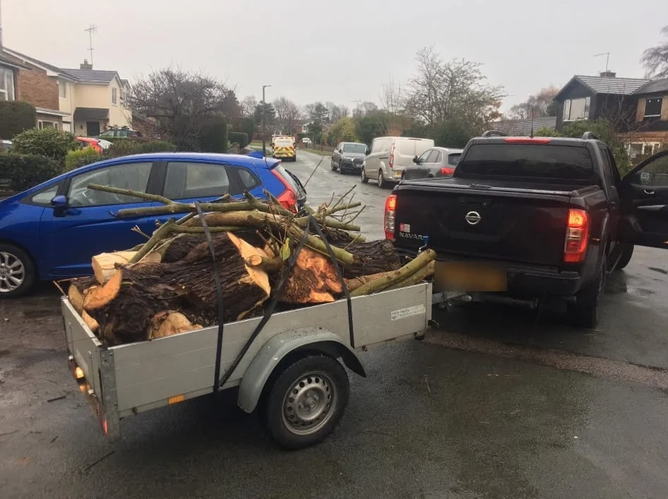Felled tree timber and branches loaded onto a trailer for removal